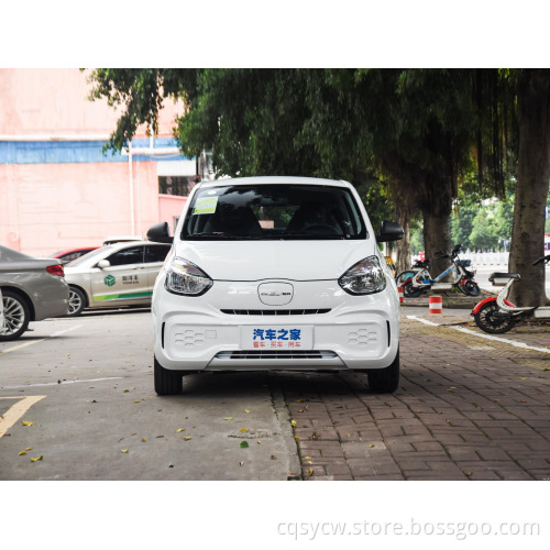 Multiple type vehicle car new energy electric car chinese export branded items family comfortable